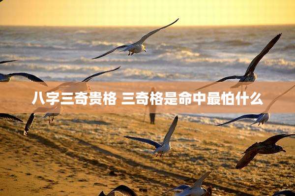 八字三奇贵格 三奇格是命中最怕什么
