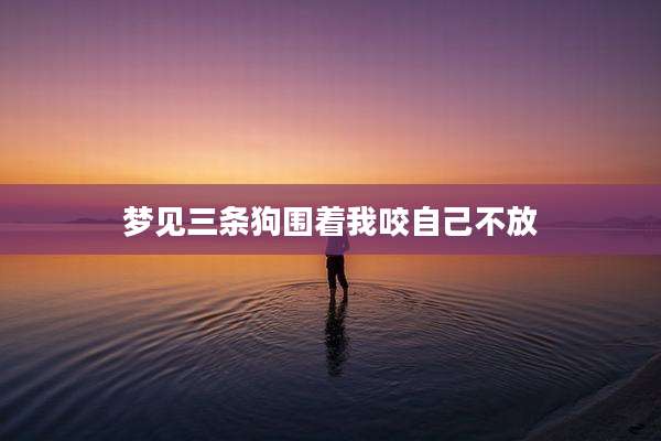 梦见三条狗围着我咬自己不放