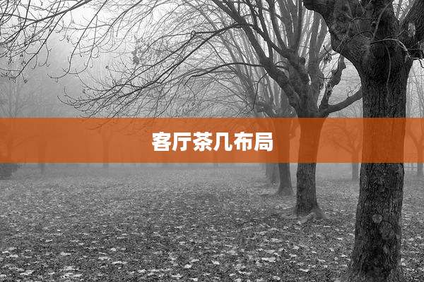 客厅茶几布局