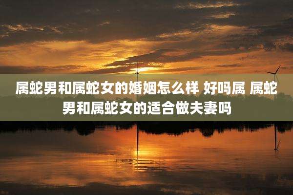 属蛇男和属蛇女的婚姻怎么样 好吗属 属蛇男和属蛇女的适合做夫妻吗
