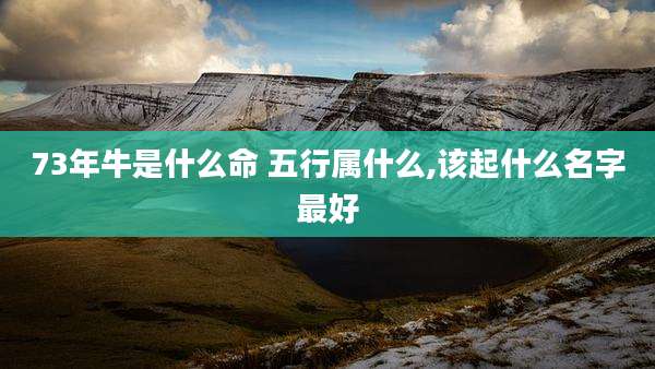 73年牛是什么命 五行属什么,该起什么名字最好