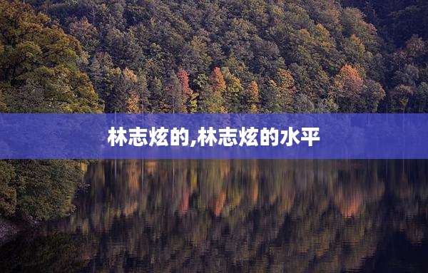 林志炫的,林志炫的水平