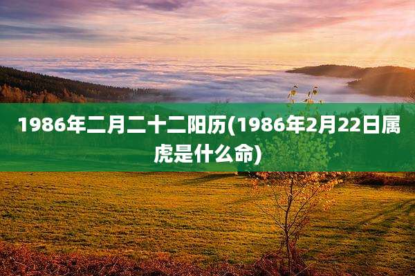 1986年二月二十二阳历(1986年2月22日属虎是什么命)
