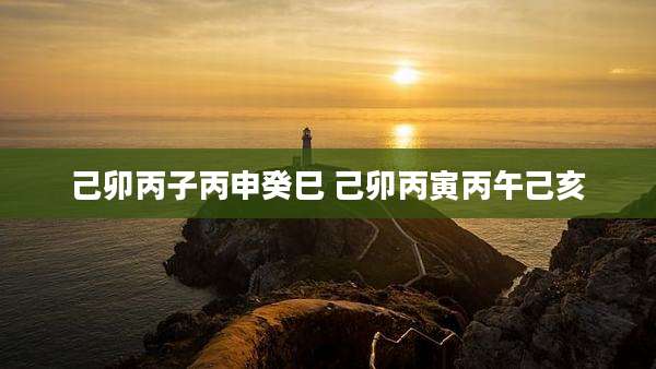 己卯丙子丙申癸巳 己卯丙寅丙午己亥
