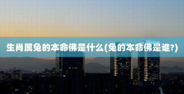 生肖属兔的本命佛是什么(兔的本命佛是谁?)
