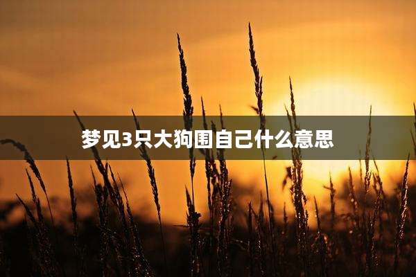 梦见3只大狗围自己什么意思