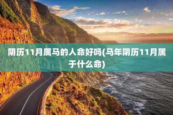 阴历11月属马的人命好吗(马年阴历11月属于什么命)