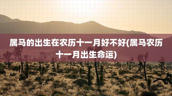 属马的出生在农历十一月好不好(属马农历十一月出生命运)