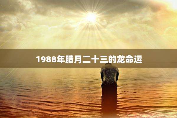 1988年腊月二十三的龙命运