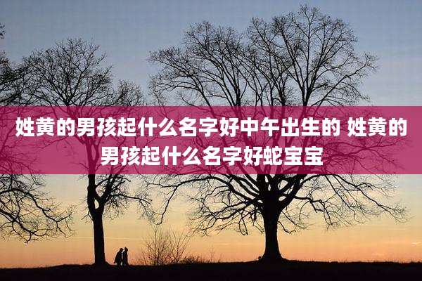 姓黄的男孩起什么名字好中午出生的 姓黄的男孩起什么名字好蛇宝宝