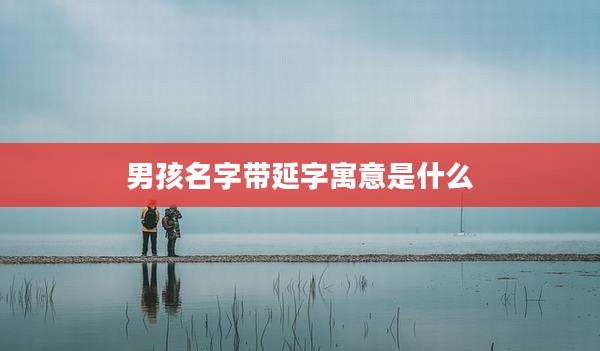 男孩名字带延字寓意是什么