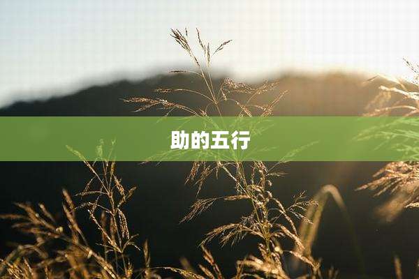 助的五行