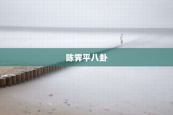 陈霁平八卦