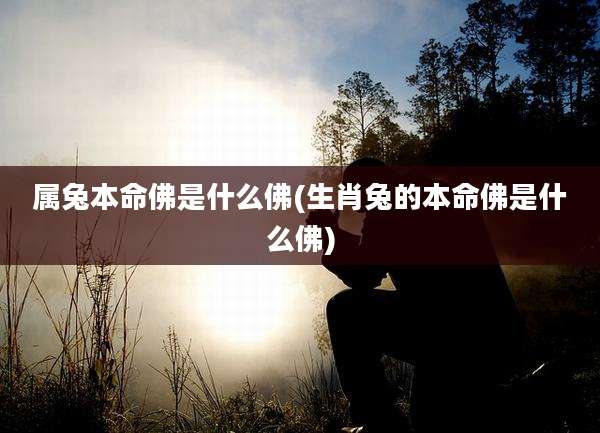 属兔本命佛是什么佛(生肖兔的本命佛是什么佛)