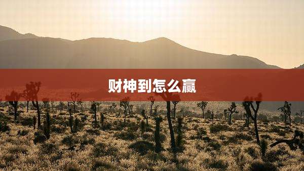 财神到怎么赢