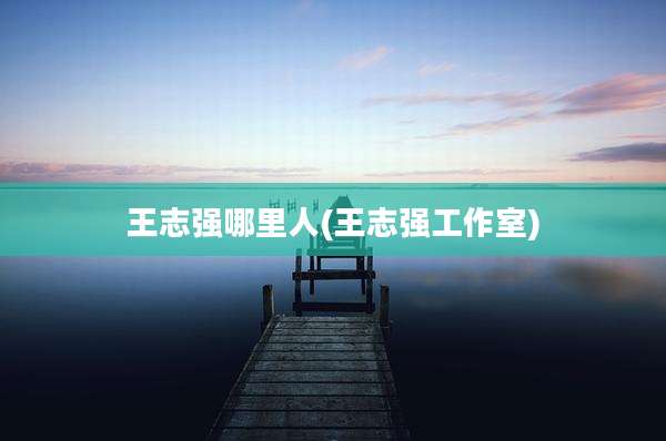 王志强哪里人(王志强工作室)