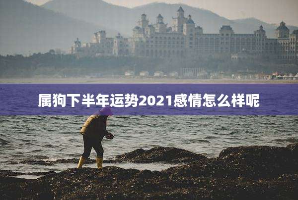 属狗下半年运势2021感情怎么样呢