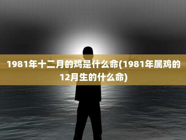 1981年十二月的鸡是什么命(1981年属鸡的12月生的什么命)