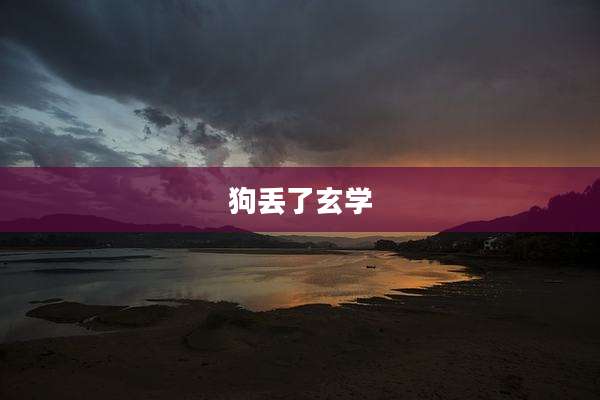 狗丢了玄学