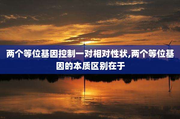 两个等位基因控制一对相对性状,两个等位基因的本质区别在于