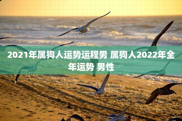 2021年属狗人运势运程男 属狗人2022年全年运势 男性