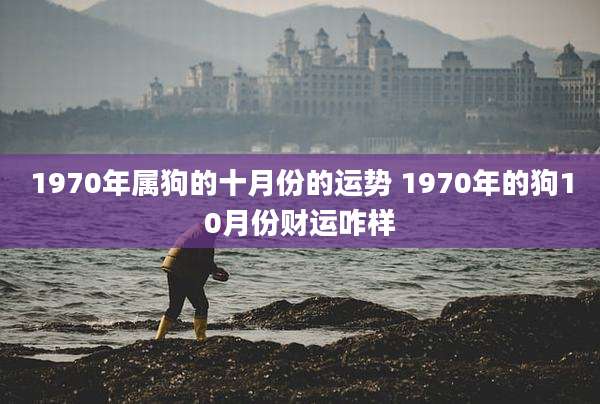 1970年属狗的十月份的运势 1970年的狗10月份财运咋样