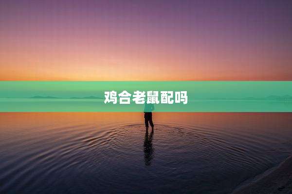鸡合老鼠配吗
