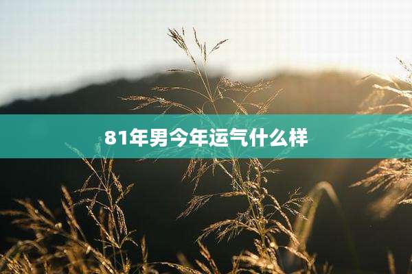 81年男今年运气什么样