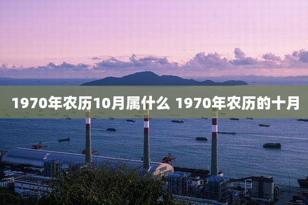 1970年农历10月属什么 1970年农历的十月