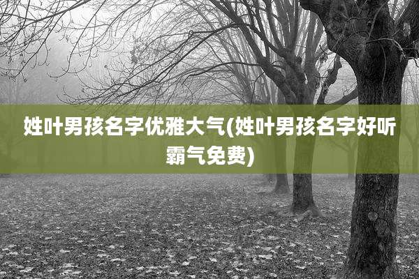 姓叶男孩名字优雅大气(姓叶男孩名字好听霸气免费)