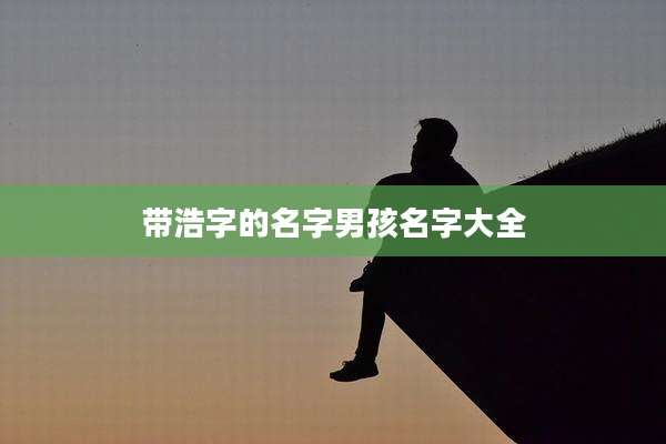 带浩字的名字男孩名字大全