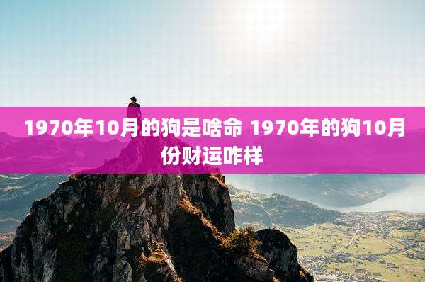 1970年10月的狗是啥命 1970年的狗10月份财运咋样