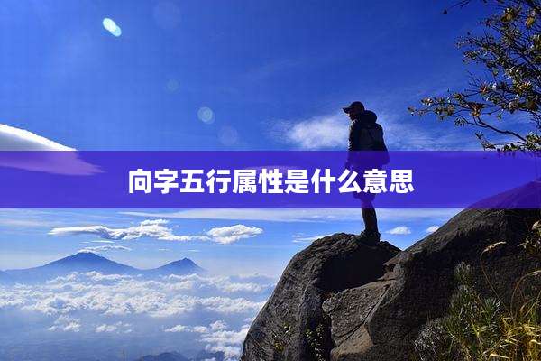 向字五行属性是什么意思