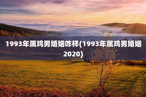 1993年属鸡男婚姻咋样(1993年属鸡男婚姻2020)