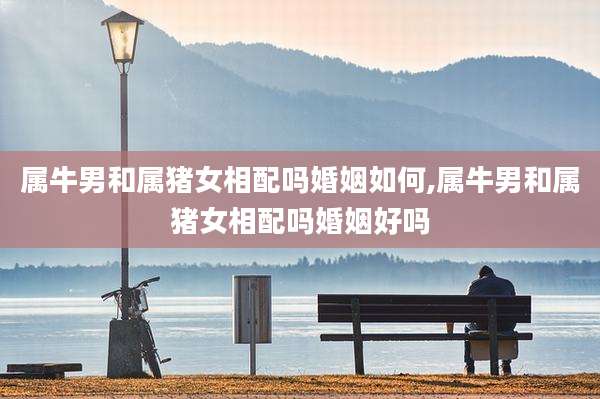 属牛男和属猪女相配吗婚姻如何,属牛男和属猪女相配吗婚姻好吗