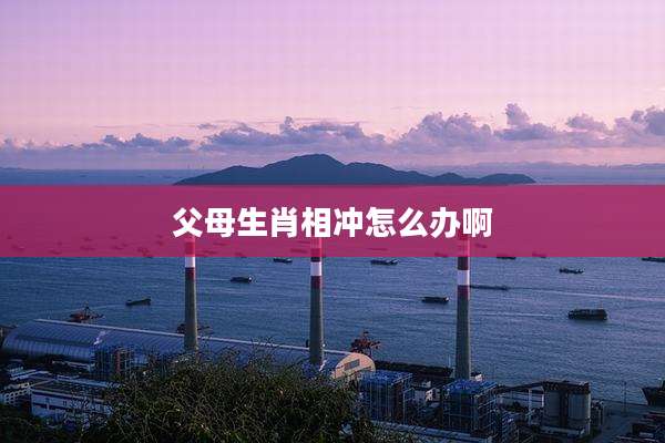 父母生肖相冲怎么办啊