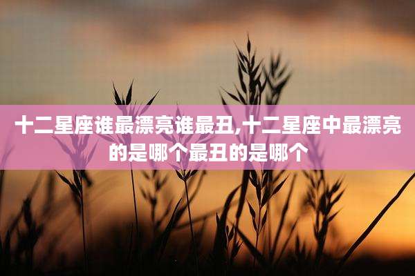 十二星座谁最漂亮谁最丑,十二星座中最漂亮的是哪个最丑的是哪个