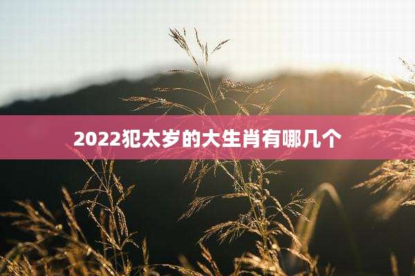 2022犯太岁的大生肖有哪几个