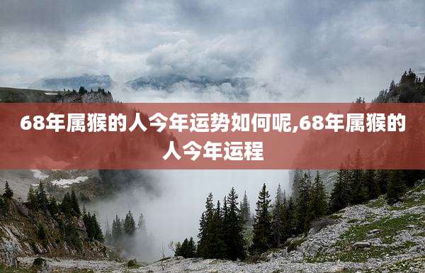 68年属猴的人今年运势如何呢,68年属猴的人今年运程