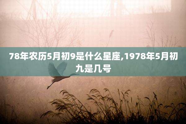 78年农历5月初9是什么星座,1978年5月初九是几号