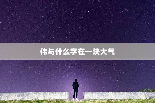 伟与什么字在一块大气