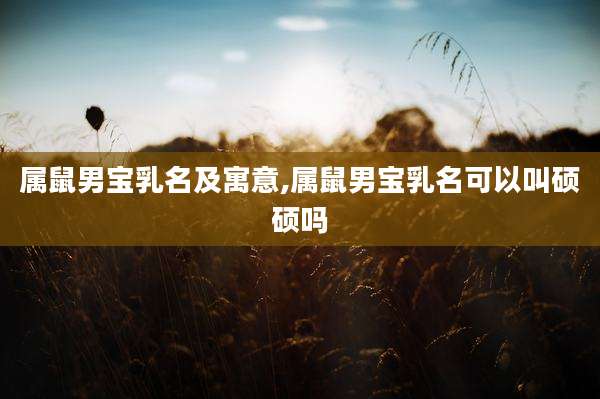 属鼠男宝乳名及寓意,属鼠男宝乳名可以叫硕硕吗