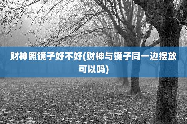 财神照镜子好不好(财神与镜子同一边摆放可以吗)