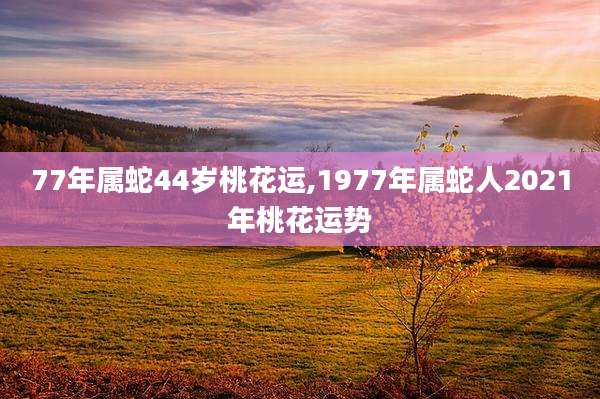 77年属蛇44岁桃花运,1977年属蛇人2021年桃花运势