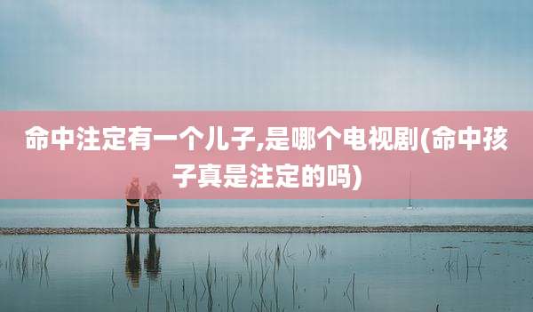 命中注定有一个儿子,是哪个电视剧(命中孩子真是注定的吗)
