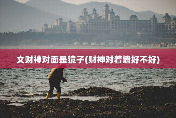 文财神对面是镜子(财神对着墙好不好)