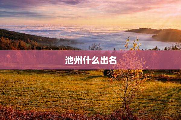 池州什么出名