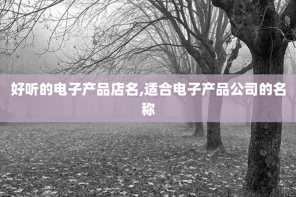 好听的电子产品店名,适合电子产品公司的名称