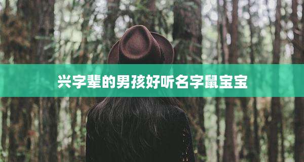 兴字辈的男孩好听名字鼠宝宝