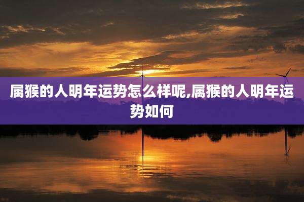 属猴的人明年运势怎么样呢,属猴的人明年运势如何